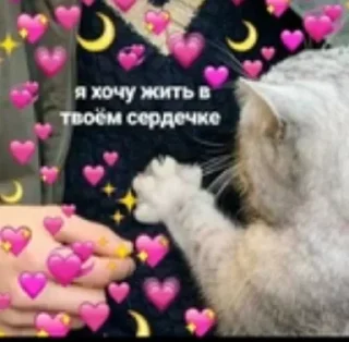👐 emoji Главный пак Telegram sticker 24 of 40