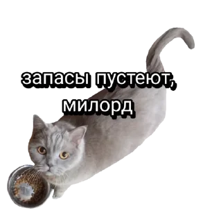 🍽 emoji Лола [@stickB00K] Telegram sticker 24 of 43