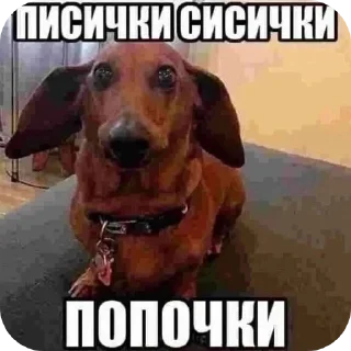 👍 emoji биля Telegram sticker 12 of 65