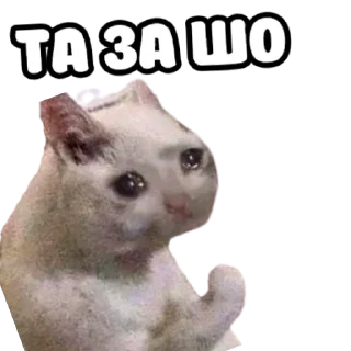 😩 emoji ебать ну и название Telegram sticker 11 of 72