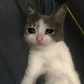 😿 emoji УРОДЦЫ ВОВЫ Telegram sticker 6 of 105