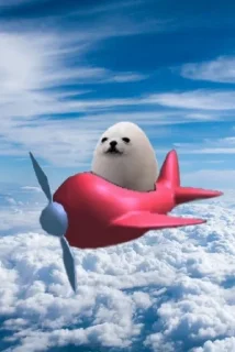 Sticker from Eggdog