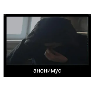 🎥 emoji моржик😚 Telegram sticker 8 of 33