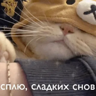 💕 emoji пикчи Telegram sticker 16 of 89