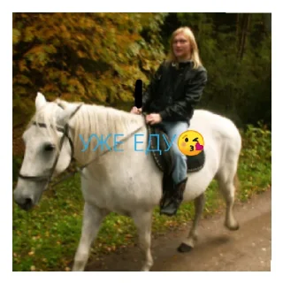 🚶‍♂️ emoji АЛЬБЕРТ ❤💋💋 Telegram sticker 7 of 35