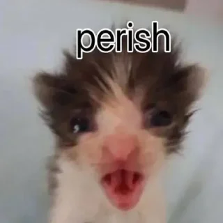 😘 emoji это жесть Telegram sticker 6 of 34