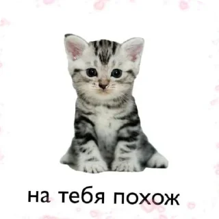 🥰 emoji По всем аниме Telegram sticker 8 of 47