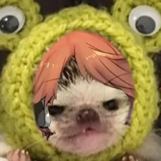 🦔 emoji ежиный припадок Telegram sticker 19 of 28