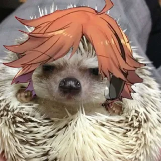 🦔 emoji ежиный припадок Telegram sticker 12 of 28