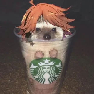 🦔 emoji ежиный припадок Telegram sticker 23 of 28