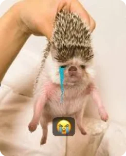 😭 emoji Ezhiki Telegram sticker 19 of 49