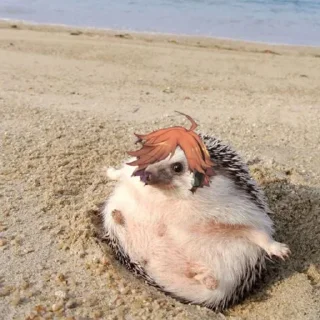 🦔 emoji ежиный припадок Telegram sticker 4 of 28
