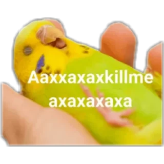 😂 emoji Пикчи Telegram sticker 23 of 85