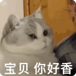 🤪 emoji @dn_wuwu 的私藏（1）（Video） Telegram sticker 19 of 22