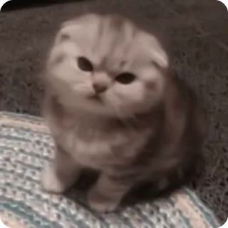 😡 emoji одиночество) Telegram sticker 18 of 37