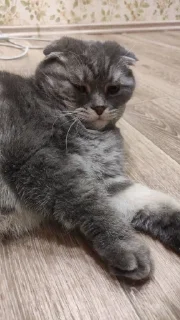 Sticker from кочубей
