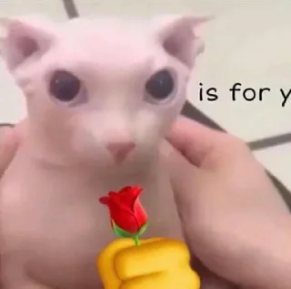 🥀 emoji бингус и другие Telegram sticker 9 of 23
