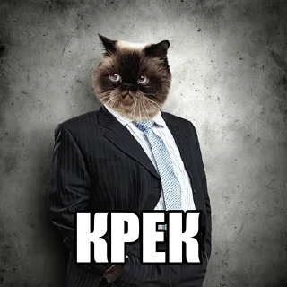 😼 emoji ЕБАНЫЕ НАРКОМАНЫ Telegram sticker 10 of 17