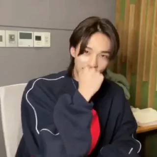 🤭 emoji hyunjin (vlive092622) Telegram sticker 8 of 13