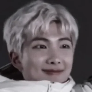 🧱 emoji namjoon Telegram sticker 15 of 24