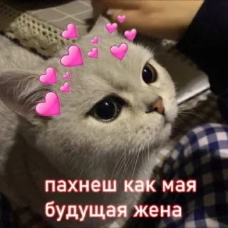 Sticker from <3