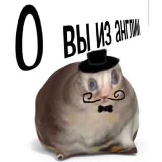 🇬🇧 emoji Наркамань белки #2 Telegram sticker 6 of 120