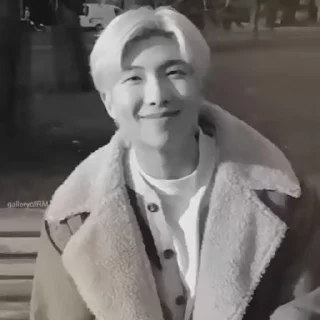 🐨 emoji ‹る namjoon ᨦ🗯 @martinasuuu Telegram sticker 18 of 40