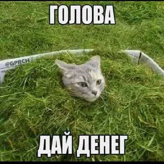 Sticker from Умная хрень 2.0