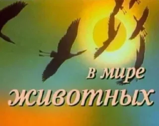 Sticker from мемная папка влада №2