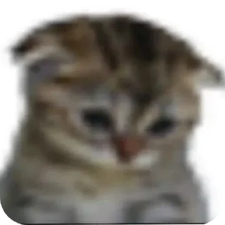 👄 emoji Nedronkina Telegram sticker 14 of 102