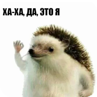 🐦 emoji Алкаши Telegram sticker 7 of 45