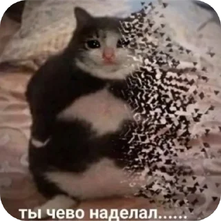 😶 emoji Имба стики Telegram sticker 16 of 120