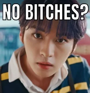 🤨 emoji skz "no bitches?" Telegram sticker 14 of 40