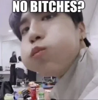 🤨 emoji skz "no bitches?" Telegram sticker 13 of 40