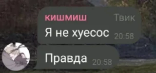 Sticker from твик пиздит