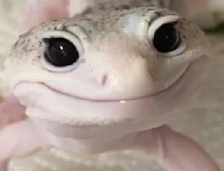 🦎 emoji Lizardsss Telegram sticker 11 of 29