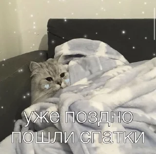 ☺️ emoji агро коты Telegram sticker 17 of 60