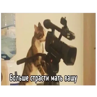 🫥 emoji Я Олег, и я этим горжусь ту(2) Telegram sticker 14 of 91