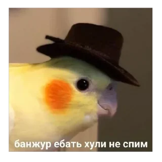 🫥 emoji Я Олег, и я этим горжусь ту(2) Telegram sticker 23 of 91