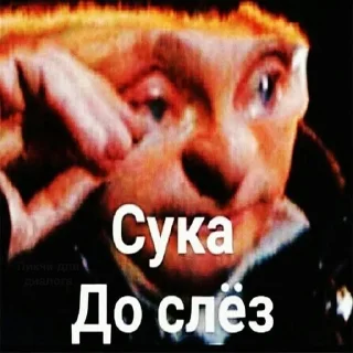 🤣 emoji Молот пса Telegram sticker 10 of 22