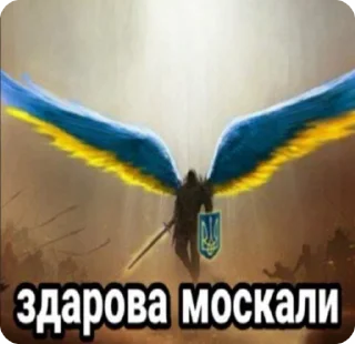 😎 emoji Жожа💀 Telegram sticker 21 of 50