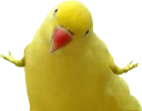 🐤 emoji Zloy 27 Telegram sticker 14 of 119