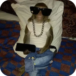 😎 emoji Секс двух негров Telegram sticker 5 of 34