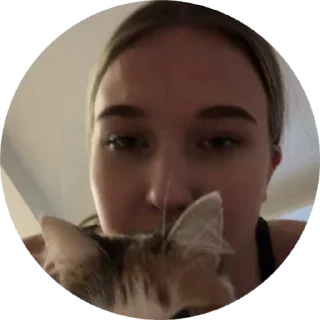 😻 emoji 😌 Telegram sticker 5 of 38