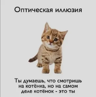 🌟 emoji Аленочка пупс Telegram sticker 20 of 50