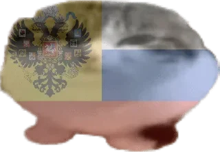 🇷🇺 emoji странокоты Telegram sticker 6 of 66