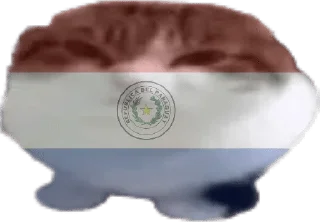🇵🇾 emoji странокоты Telegram sticker 14 of 66