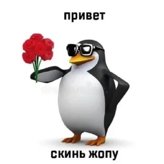 Sticker from я тупая,но ахуенная💗😚