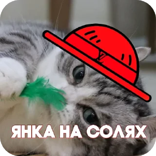 🐱 emoji Пираты > @ChatPirates1007 Telegram sticker 6 of 30