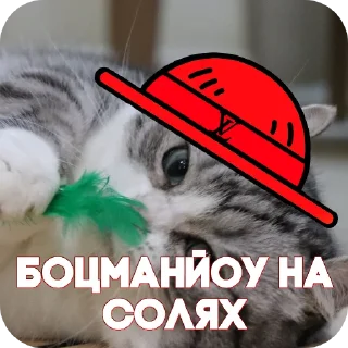 🐱 emoji Пираты > @ChatPirates1007 Telegram sticker 5 of 30